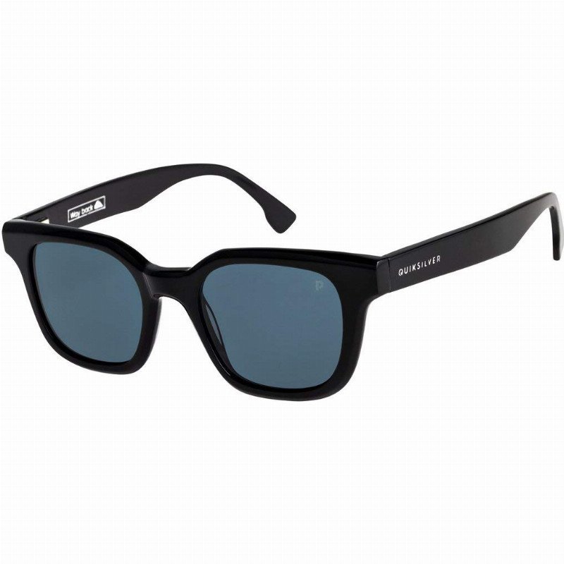 Quiksilver WAY BACK POLARISED - SUNGLASSES FOR MEN