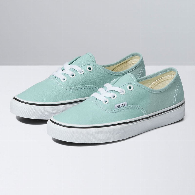 COLOR THEORY AUTHENTIC SHOES (CANAL BLUE) MEN,WOMEN BLUE