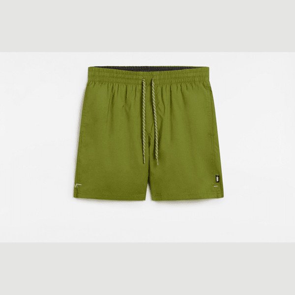 Vans - Primary Solid Elastic Boardshorts, Man, Green, Size: XS